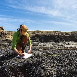 Discovery & Education in the Wild at UCSB’s Hidden Gem: The Natural Reserve System