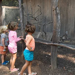 Toddler Storytime: Barnyard Buddies