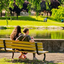Forest Bathing in Allegheny Commons