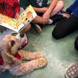 Read to a Dog