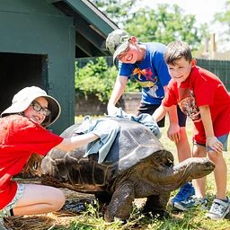 Summer Camp Week 5: Aug 17-21: Animals Around the World