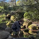 September Forest Bathing