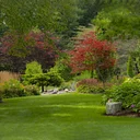 (RAIN DATE) Plein Air: Art in the Gardens