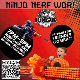 Ninja Nerf War