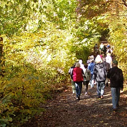 Members-Only Experience: Forest Bathing