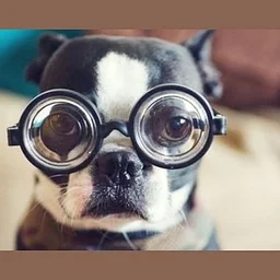 Let's Get Quizzical Trivia Night!