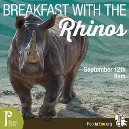 Breakfast with the Rhinos