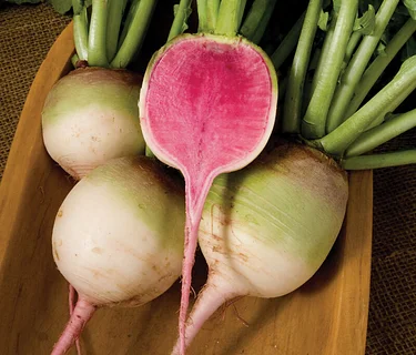 Garden to Table: Eating the Rainbow