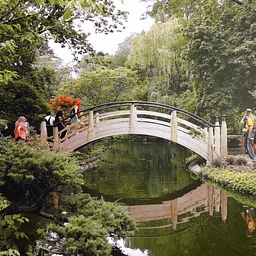 https://fwbg.org/full-calendar/fall-japanese-festival-2026/