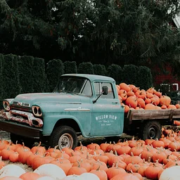 Pumpkin Crafts Week
