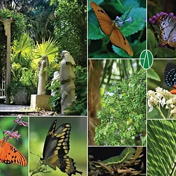 Master Gardener Tour with CJ McCartney