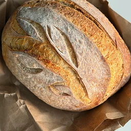 Intro to Sourdough 101