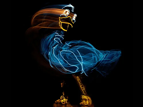 Lightwire Theatre’s The Ugly Duckling