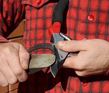 Tool Sharpening with Paul Cappiello and Carl Heimerdinger