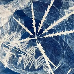 Cyanotype Jam