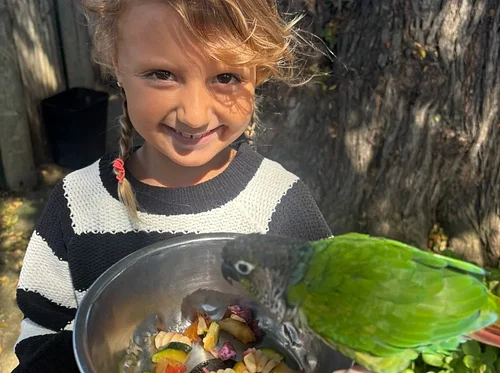 2026 Summer Parrot Camp ($250): Age 7-10