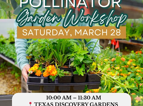 Pollinator Garden Workshop