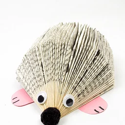 Hedgehog Book Art
