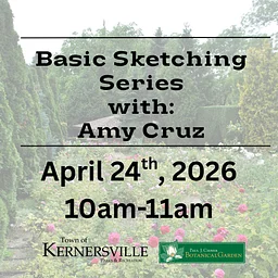 Basic Sketching With Amy Cruz