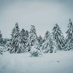 School’s Out Workshop (Winter Break)