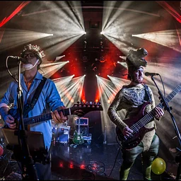 Shafty: Portland's Tribute to Phish LIVE at The Rosebud