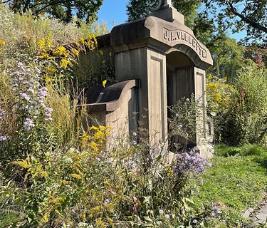 Meet Your Green Neighbors