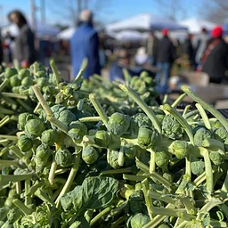 Farmers Market