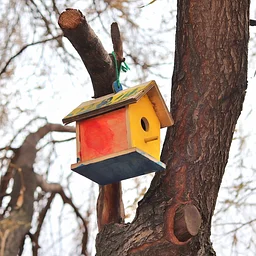 Creating Spaces for Native Birds in the Neighborhood (Rescheduled)