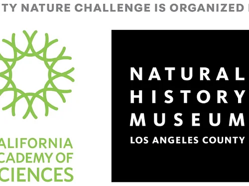 City Nature Challenge