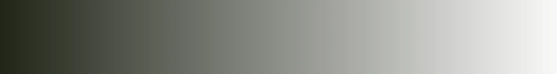 BirchTree Bread Company