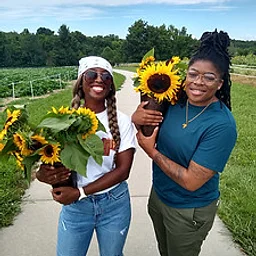 Sunflower Field Festival