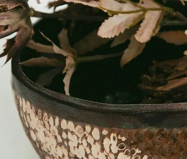 Ceramic Planter Workshop (Session B)