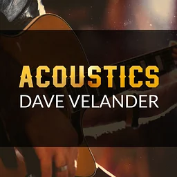 SATURDAY NIGHT ACOUSTICS WITH DAVE VELANDER