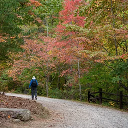 Introduction to Appalachian Ecology