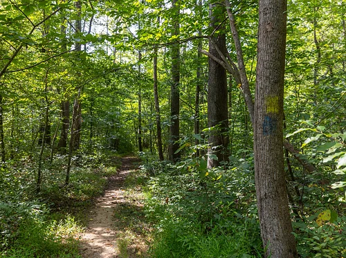 Enchanted Trail Adventure