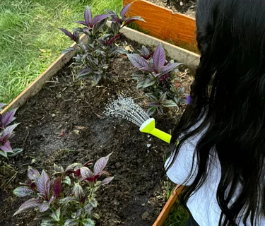 Plant Needs: Wonderful Water · July Seeds to Sprouts