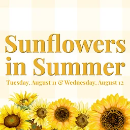 Sunflowers in Summer (Day 1)