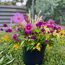 Pick-Your-Own Flowers