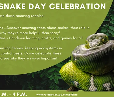 World Snake Day Celebration