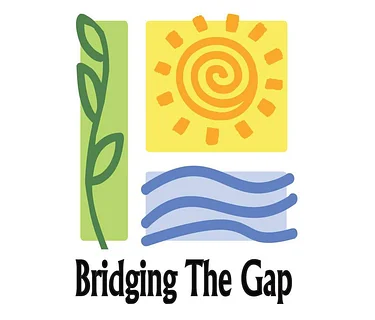Bridging the Gap Luncheon