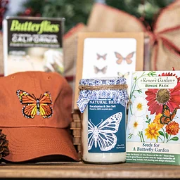 Holiday Sale