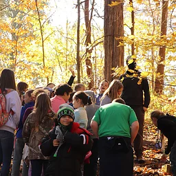 Forest Homeschool Hike