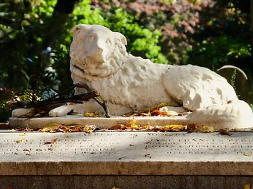 Discover Mount Auburn Introductory Walking Tour