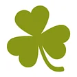 Paddy McGown's Pub