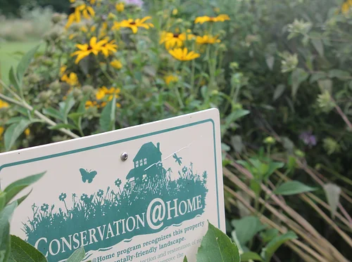 Small-Scale Native Landscapes with Conservation@Home