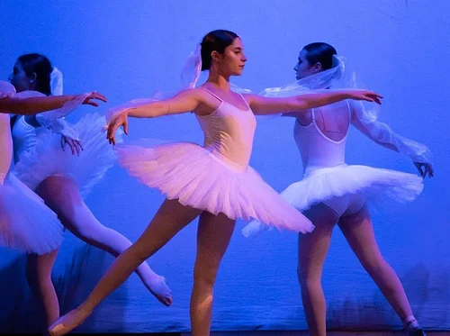 July Pointe & Variations Series