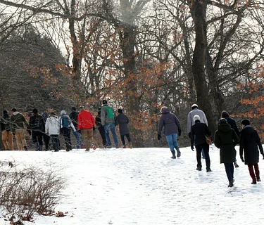 Winter Wellness Walk