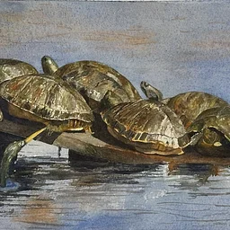 Gallery Artists: Aquanauts