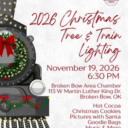 2026 Christmas Tree & Train Lighting