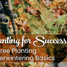 Planting for Success Workshop